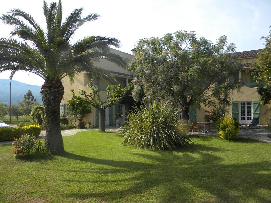 Auberge Les Oliviers Lucciana  Exterior photo