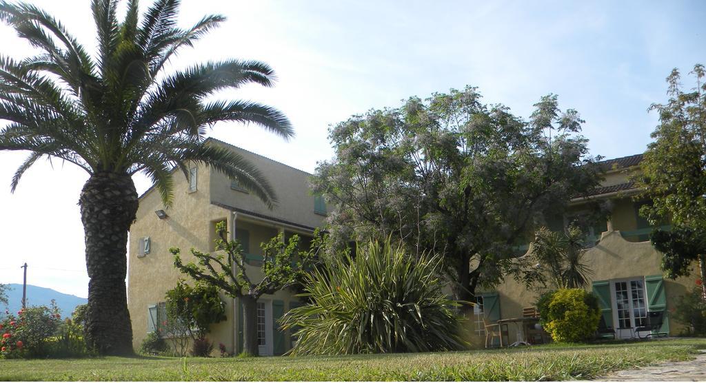 Auberge Les Oliviers Lucciana  Exterior photo