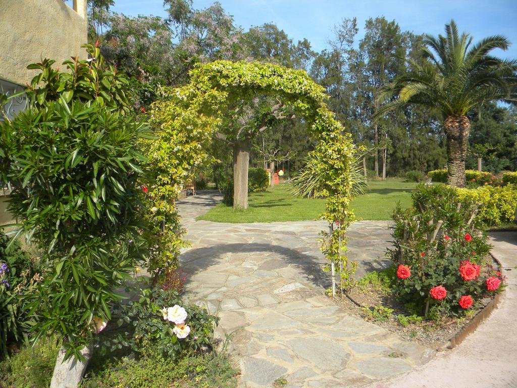 Auberge Les Oliviers Lucciana  Exterior photo
